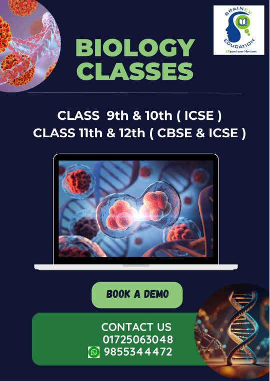 Brainex_Education